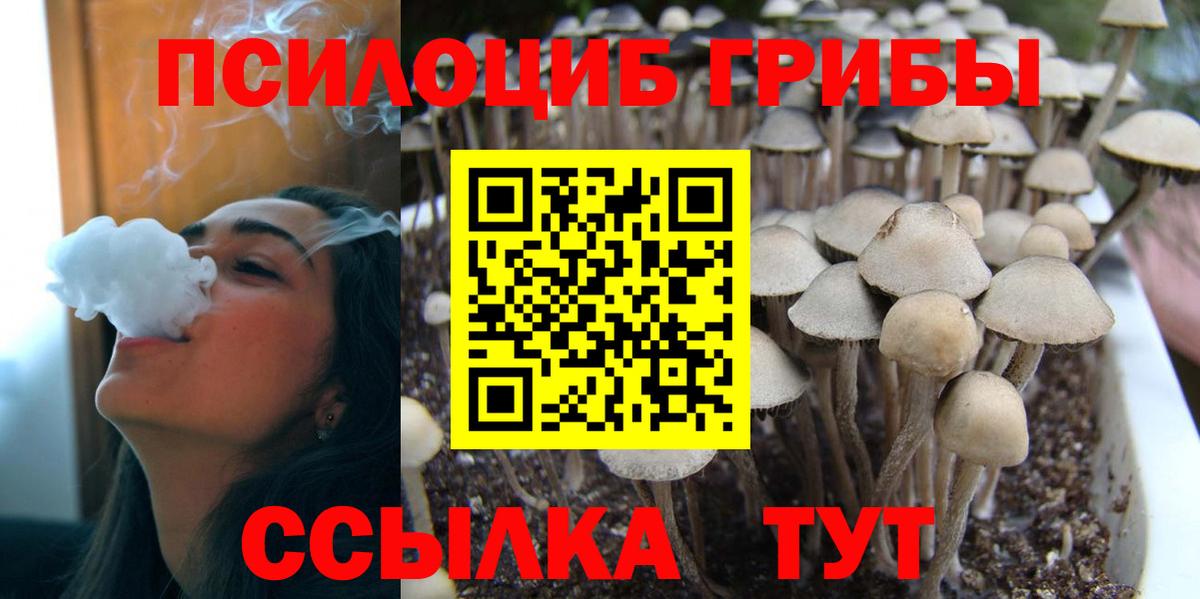 цены наркотик  Вход с VPN  Галлюциногенные грибы Psilocybine cubensis  Куйбышев  Псилоцибиновые грибы GOLDEN TEACHER 